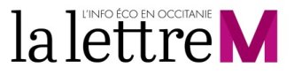 Logo Lettre M